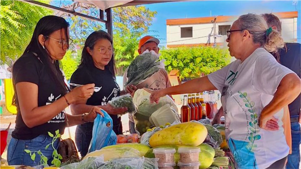 PRIMEIRA EDIÇÃO DE AGOSTO DA FEIRA AGROECOLÓGICA DE QUIXADA.
