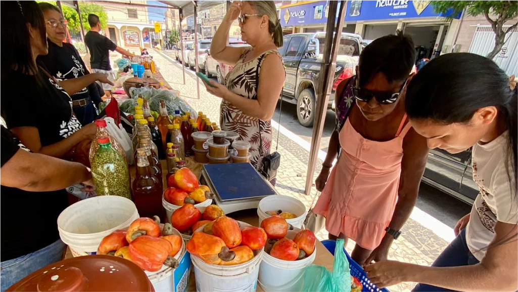 FEIRA AGROECOLÓGICA DE QUIXADA-SEGUNDA EDIÇÃO DE AGOSTO.