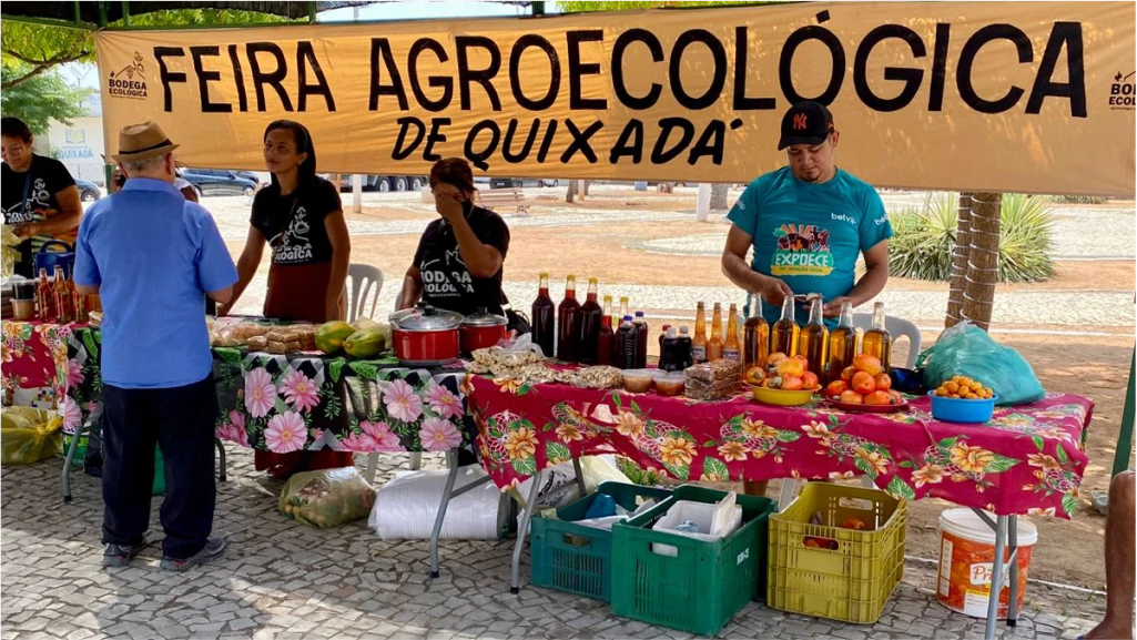 ANTEPENÚLTIMA EDIÇÃO EM 2024 DA FEIRA AGROECOLÓGICA DE QUIXADÁ.