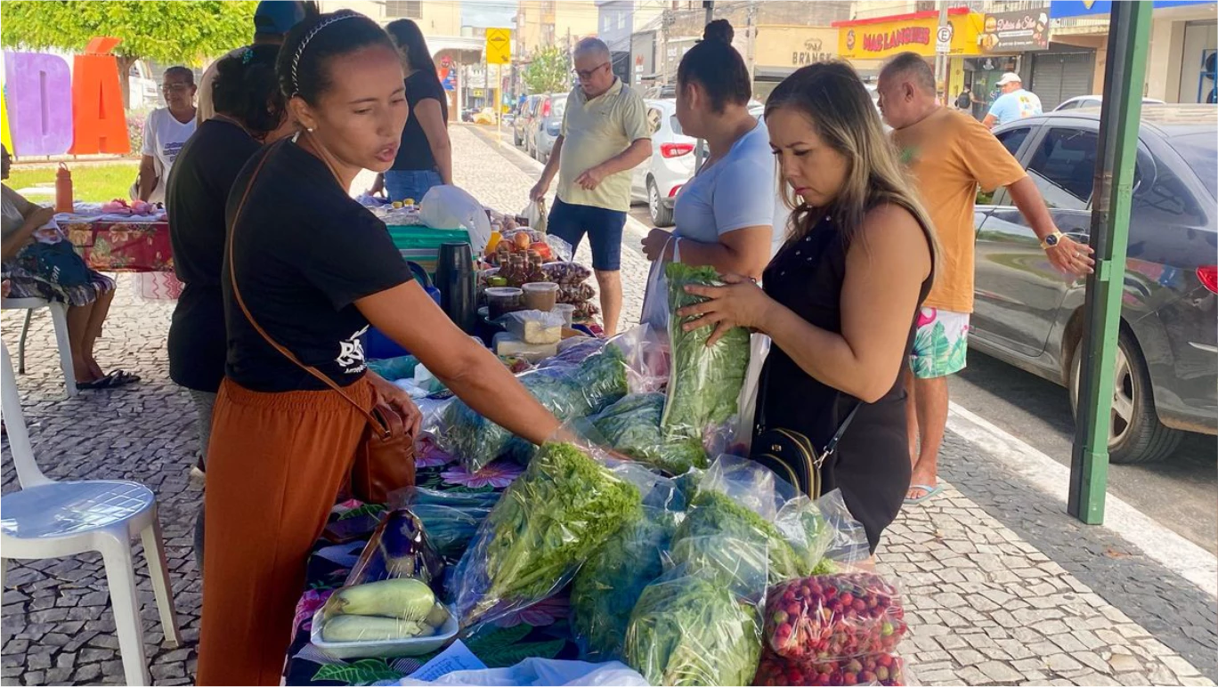 TERCEIRA EDIÇÃO DA FEIRA AGROECOLÓGICA DE QUIXADÁ – FEVEREIRO DE 2025.