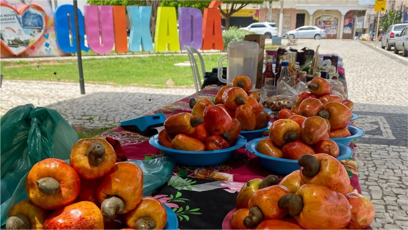 FEIRA AGROECOLÓGICA DE QUIXADÁ – ÚLTIMA EDIÇÃO DE FEVEREIRO DE 2025.