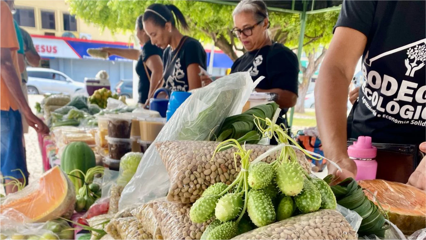 FEIRA AGROECOLÓGICA DE QUIXADÁ – SEGUNDA EDIÇÃO DE ABRIL DE 2025. 
