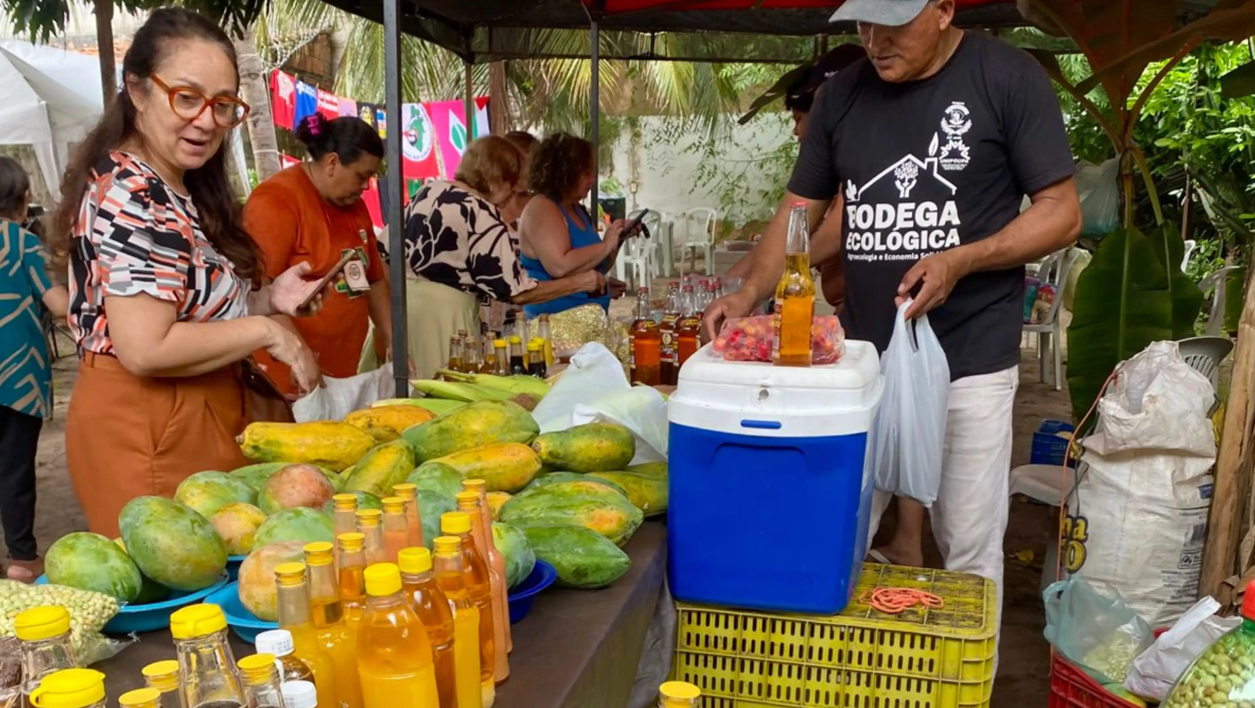 XXIV Feira Agroecológica fortalece a conexão entre campo e cidade em Fortaleza