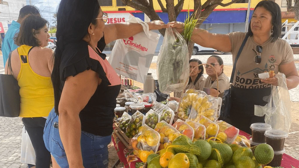 FEIRA AGROECOLÓGICA DE QUIXADÁ.