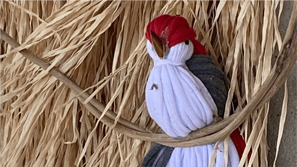 IDEIAS SUSTENTÁVEIS PARA MELHORAR A QUALIDADE DE VIDA HUMANA.