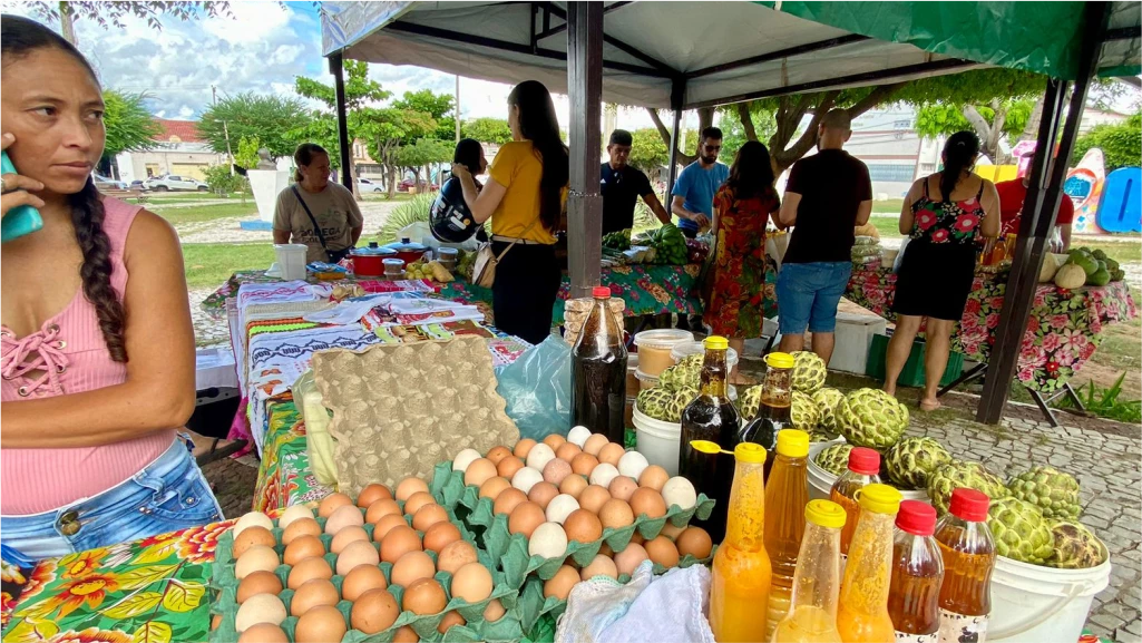 PRIMEIRA EDIÇÃO DE JUNHO DA FEIRA AGROECOLÓGICA DE QUIXADÁ.