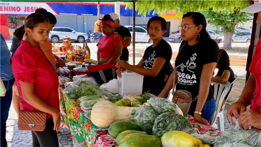 ÚLTIMA EDIÇÃO DE JULHO DA FEIRA AGROECOLÓGICA DE QUIXADÁ.