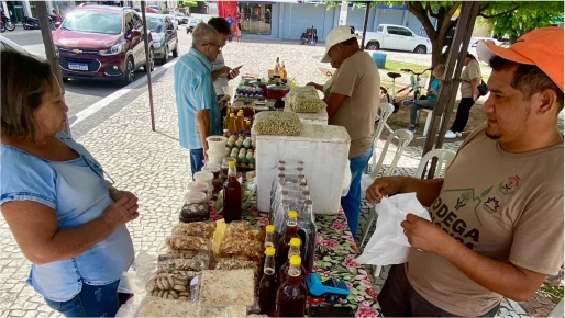 II Edição de Junho da Feira Agroecológica de Quixadá.